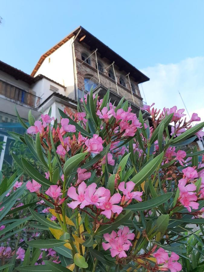 Le Case Di Angelina - Langhe Loft & Suites Farigliano Eksteriør bilde